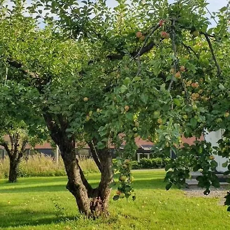 Villa Central בית אירוח