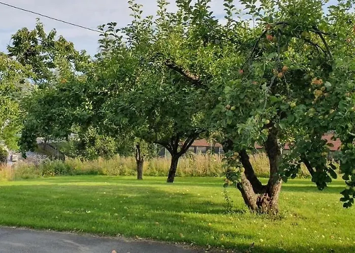 홈스테이 Villa Central