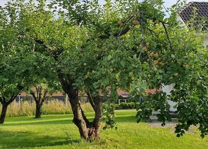 Villa Central Accommodatie bij particulieren